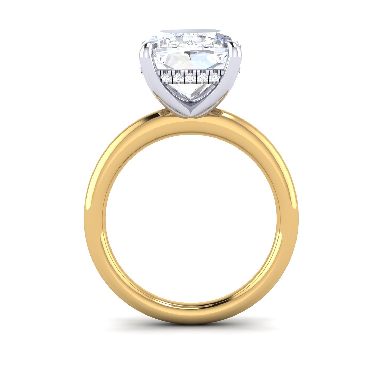 Two-tone with Hidden Halo