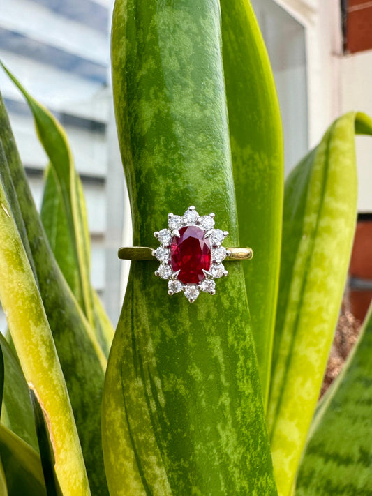 Two-tone Ruby Marguerite